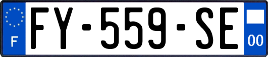 FY-559-SE