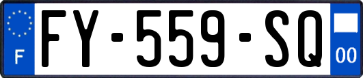 FY-559-SQ