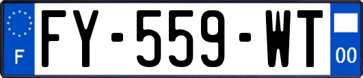 FY-559-WT