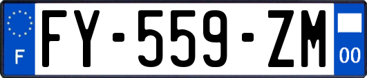 FY-559-ZM