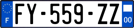 FY-559-ZZ