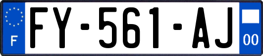 FY-561-AJ
