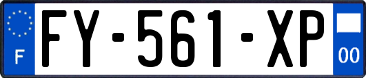 FY-561-XP