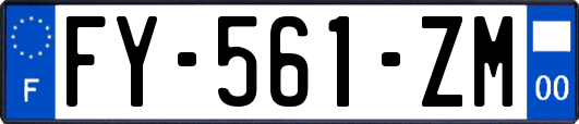 FY-561-ZM