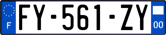 FY-561-ZY