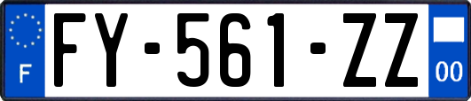 FY-561-ZZ