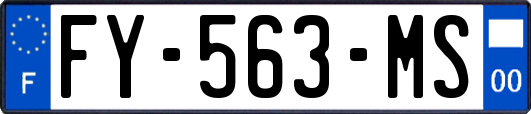 FY-563-MS