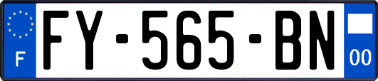 FY-565-BN