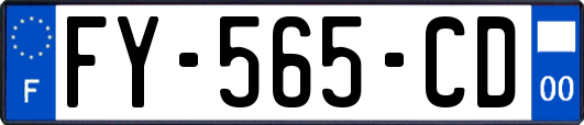 FY-565-CD