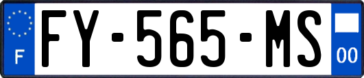 FY-565-MS