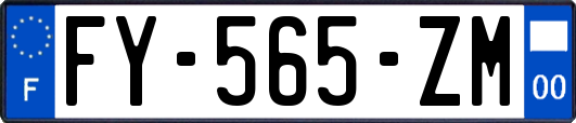 FY-565-ZM