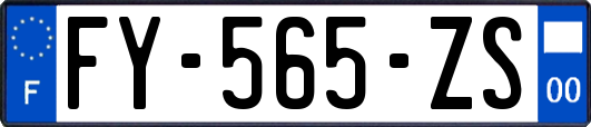 FY-565-ZS