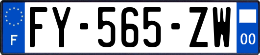 FY-565-ZW