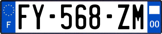 FY-568-ZM