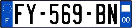 FY-569-BN