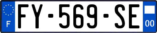 FY-569-SE