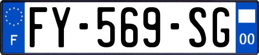 FY-569-SG