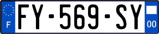 FY-569-SY