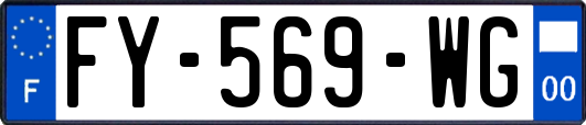 FY-569-WG