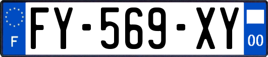 FY-569-XY