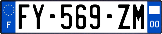 FY-569-ZM
