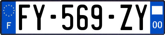 FY-569-ZY