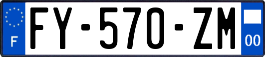 FY-570-ZM