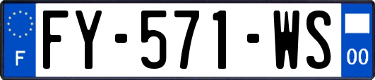 FY-571-WS