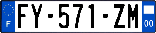 FY-571-ZM