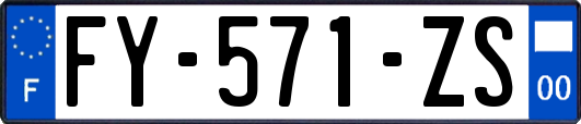 FY-571-ZS