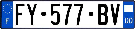 FY-577-BV