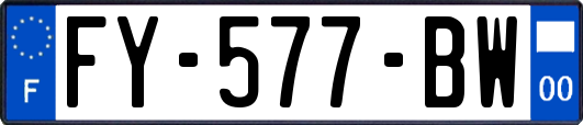 FY-577-BW