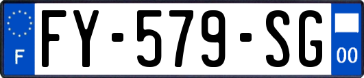 FY-579-SG