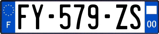 FY-579-ZS