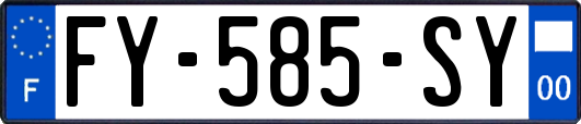 FY-585-SY