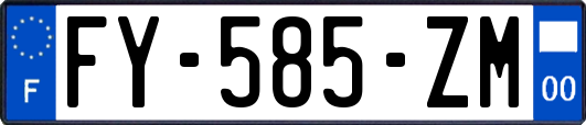 FY-585-ZM