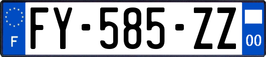 FY-585-ZZ
