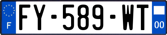FY-589-WT