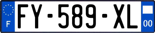 FY-589-XL