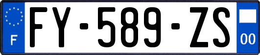 FY-589-ZS