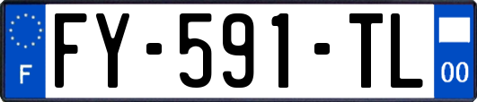 FY-591-TL