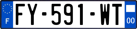 FY-591-WT