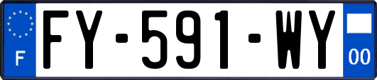 FY-591-WY