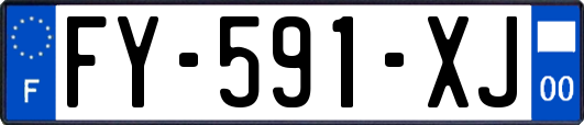 FY-591-XJ