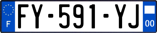 FY-591-YJ