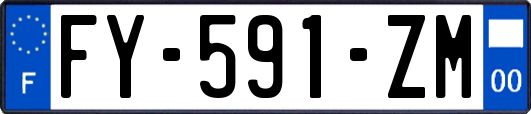 FY-591-ZM