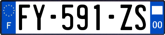 FY-591-ZS