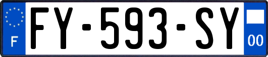 FY-593-SY