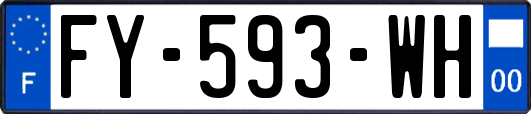 FY-593-WH