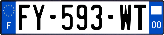 FY-593-WT